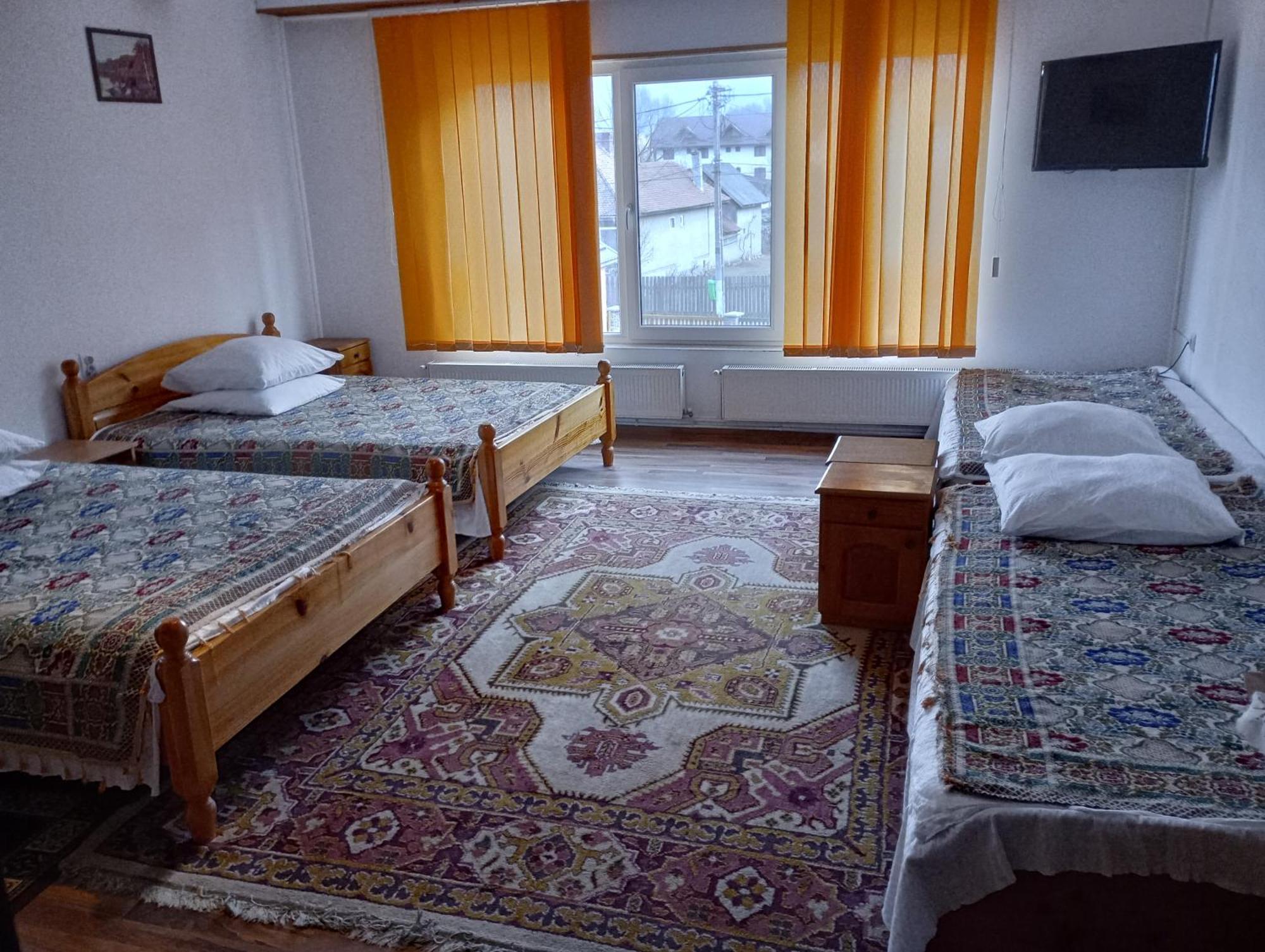 Pensiunea Irina 1 Si 2 Zărneşti Dış mekan fotoğraf