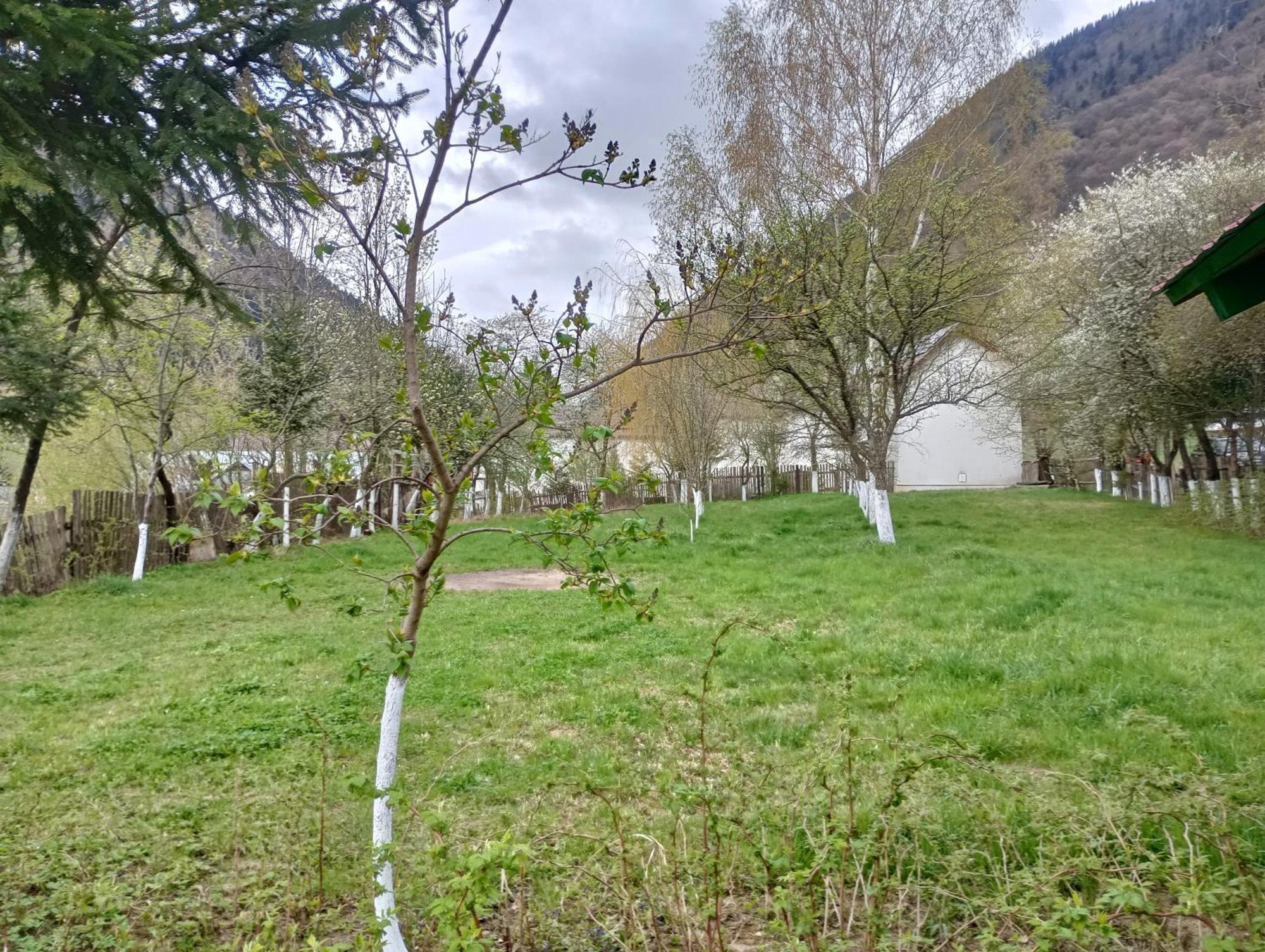 Pensiunea Irina 1 Si 2 Zărneşti Dış mekan fotoğraf