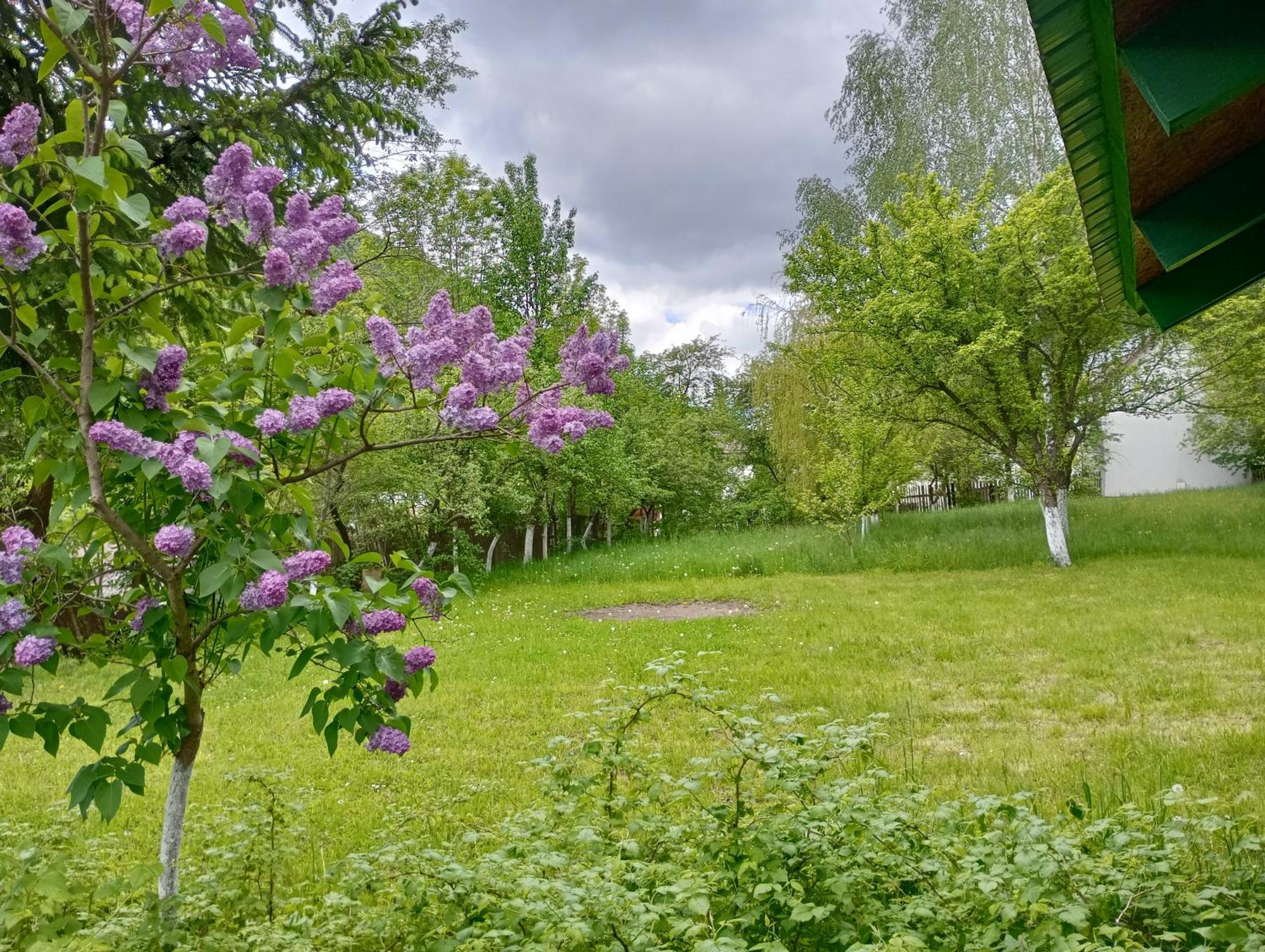 Pensiunea Irina 1 Si 2 Zărneşti Dış mekan fotoğraf
